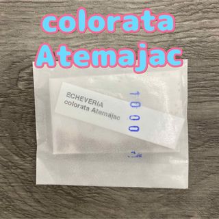 輸入種子＊colorata Atemajac＊50粒(その他)