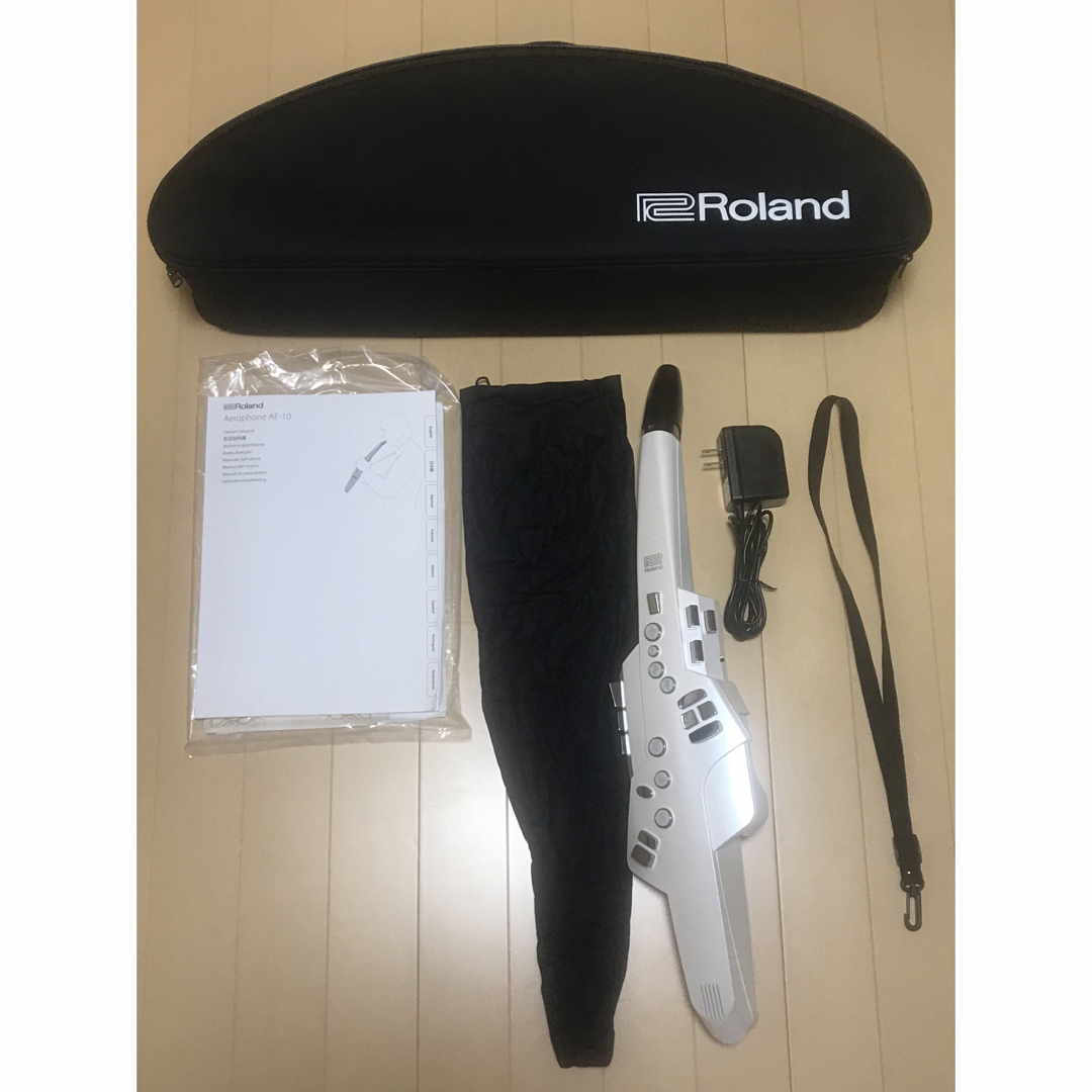 【値下げ】Roland エアロフォン AE-10