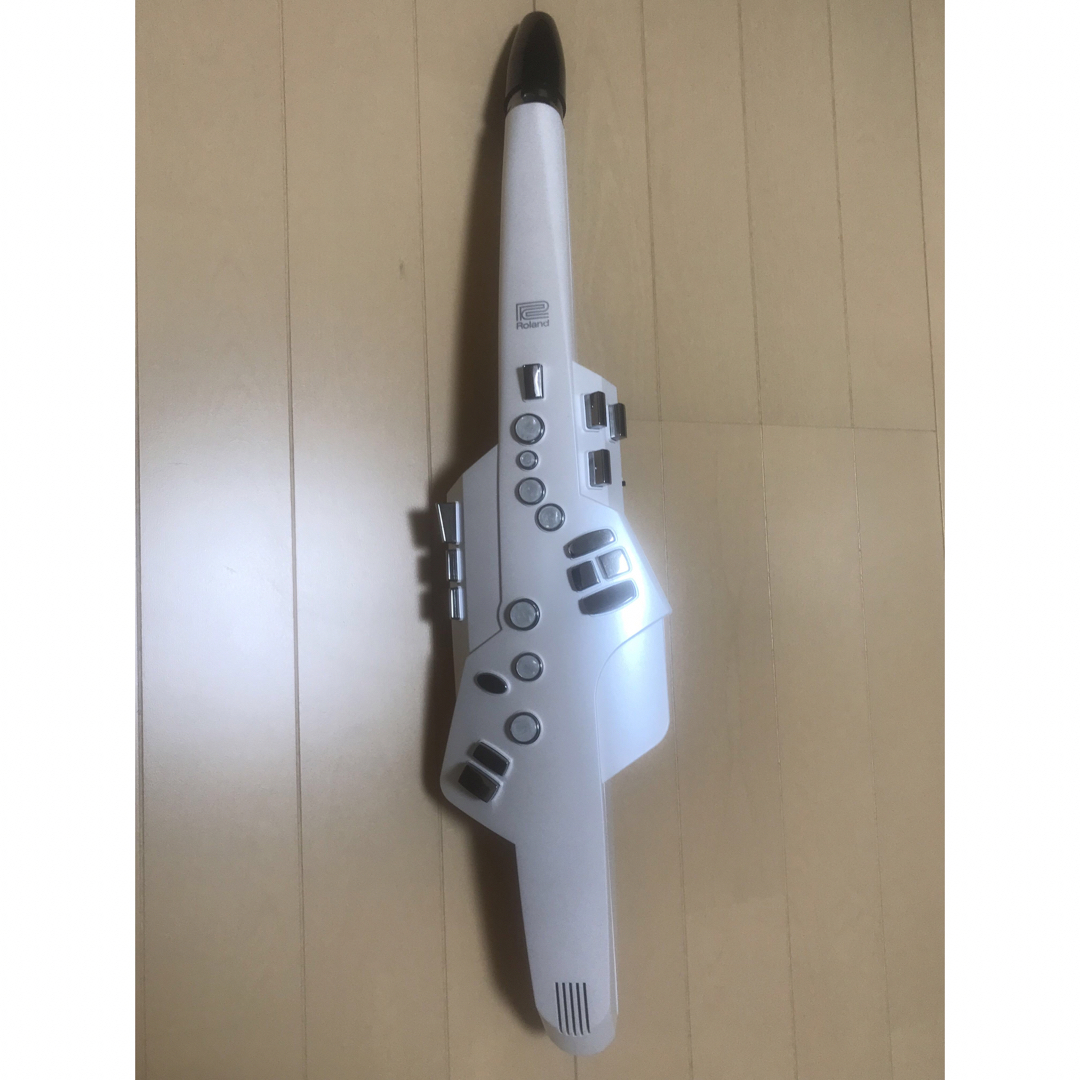 値下げ】Roland エアロフォン AE-10-