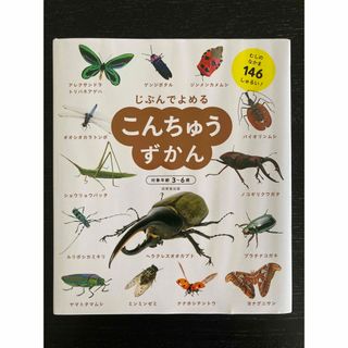 【新品・未使用】じぶんでよめる こんちゅうずかん 図鑑