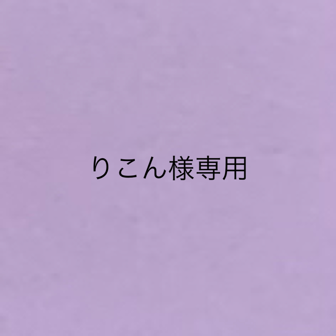 卸売価格 りこん様専用ページ 279650円 fnem.mg.gov.br