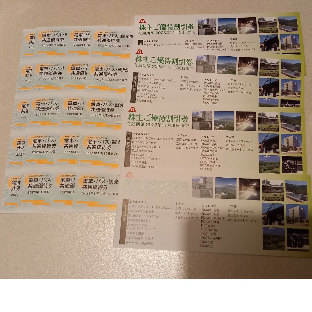 富士急行株主優待券 チケットの施設利用券(その他)の商品写真