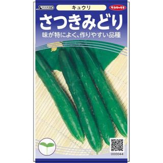 キュウリの種　さつきみどり　30粒(野菜)