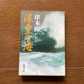 深重（じんじゅう）の海 改版(文学/小説)