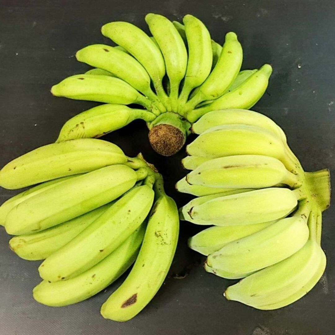 【楽ギフ_包装】 沖縄本島北部産 人気の国産バナナ３種 食べ比べ ３種バナナセット