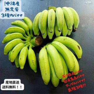 沖縄本島北部産！人気の国産バナナ３種！食べ比べ！３種バナナセット！(フルーツ)