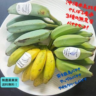 人気の国産バナナ３種！食べ比べ！沖縄本島北部産！３種バナナ(フルーツ)