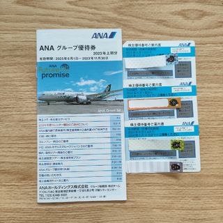 エーエヌエー(ゼンニッポンクウユ)(ANA(全日本空輸))のANA 全日空 株主優待3枚＋グループ優待券(その他)