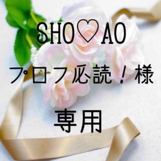 SHO♡AO様専用　お米　令和4年　愛媛県産コシヒカリ　白米　10㎏(米/穀物)