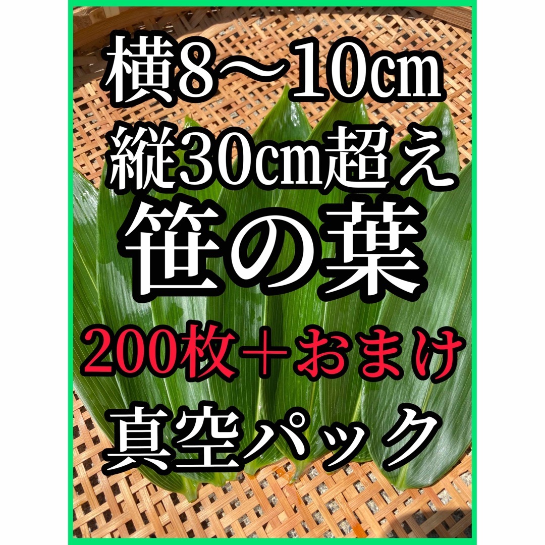  新潟県産　笹の葉　30㎝超え　200枚＋おまけ その他のその他(その他)の商品写真