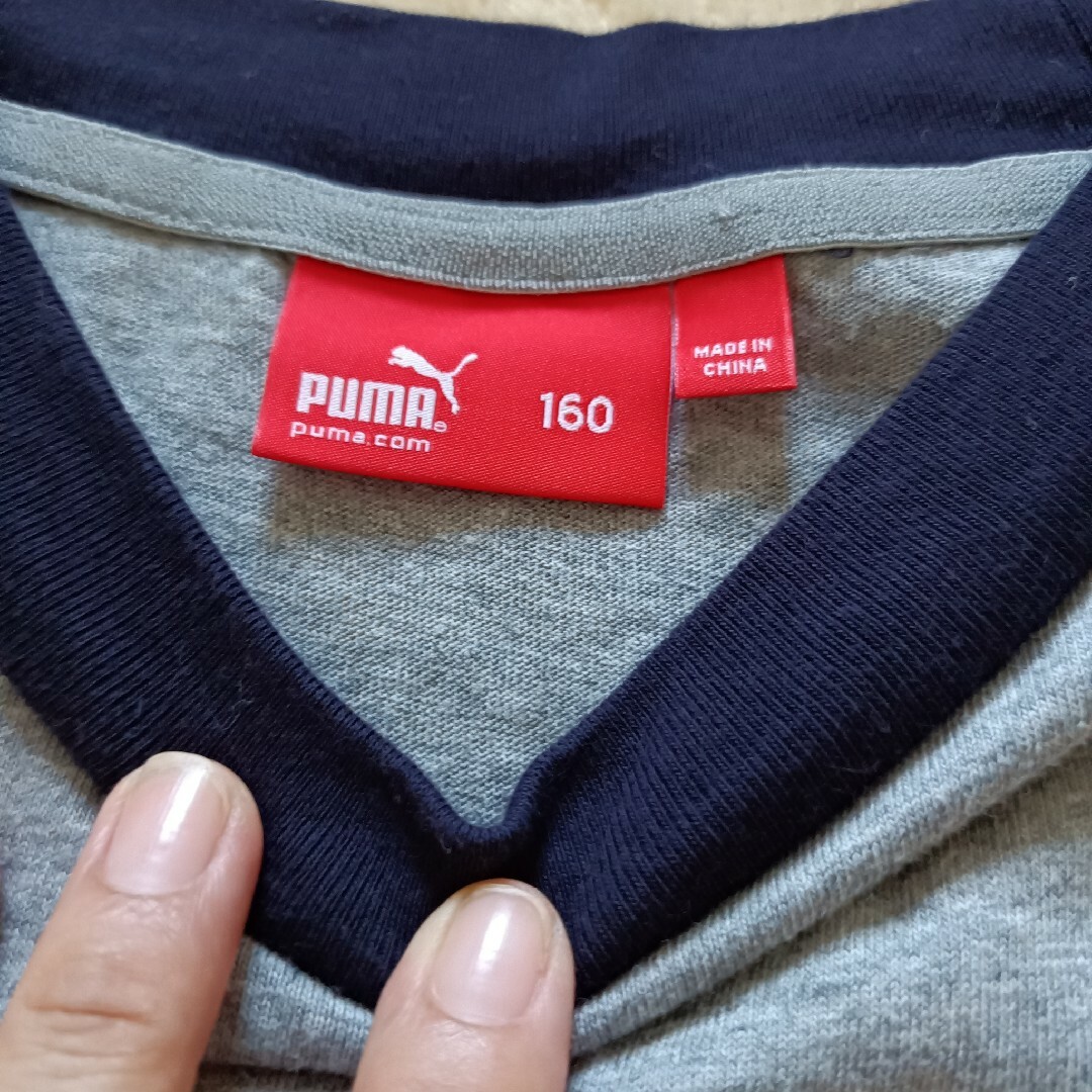 PUMA(プーマ)のPUMA　プーマ　サイズ160　グレー　コットンTシャツ 　美品 半袖Tシャツ キッズ/ベビー/マタニティのキッズ服男の子用(90cm~)(Tシャツ/カットソー)の商品写真