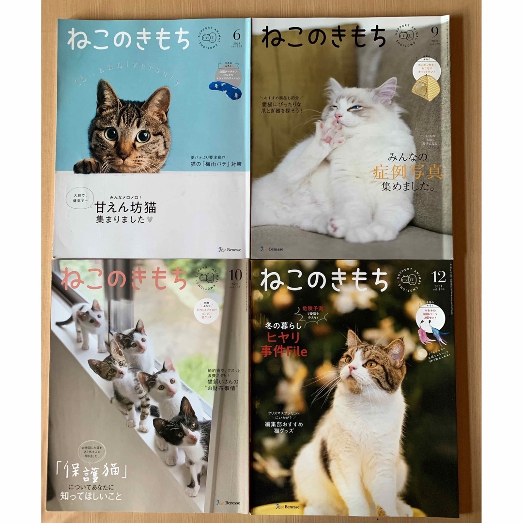 Benesse(ベネッセ)のねこのきもち　4冊 エンタメ/ホビーの雑誌(専門誌)の商品写真