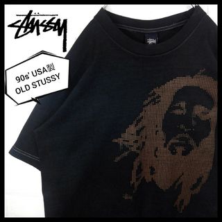 ステューシー Tシャツ・カットソー(メンズ)(ブラウン/茶色系)の通販