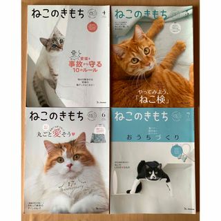 ベネッセ(Benesse)のねこのきもち　4冊(専門誌)