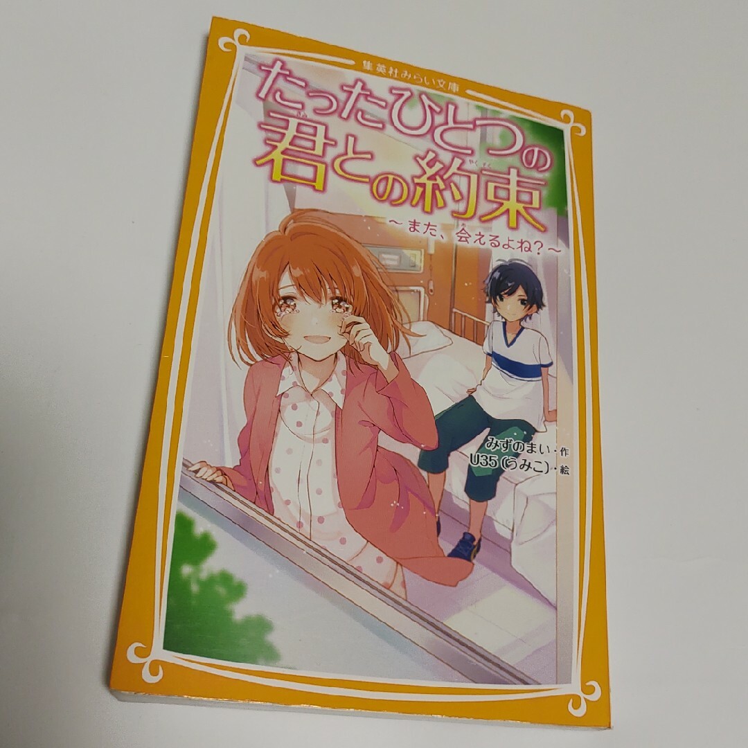 たったひとつの君との約束～また、会えるよね？～ エンタメ/ホビーの本(絵本/児童書)の商品写真