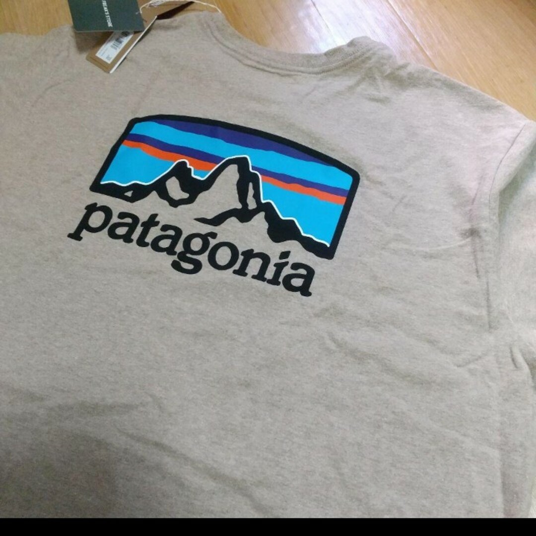 patagonia(パタゴニア)のfitz roy responsibili tee メンズのトップス(Tシャツ/カットソー(半袖/袖なし))の商品写真