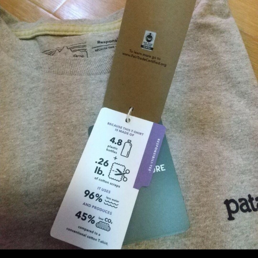 patagonia(パタゴニア)のfitz roy responsibili tee メンズのトップス(Tシャツ/カットソー(半袖/袖なし))の商品写真