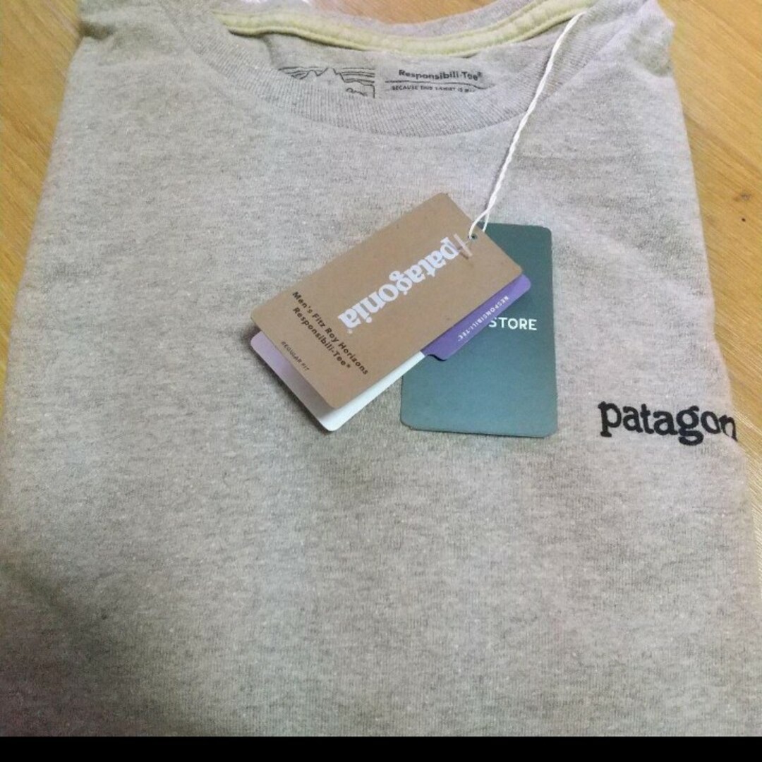 patagonia(パタゴニア)のfitz roy responsibili tee メンズのトップス(Tシャツ/カットソー(半袖/袖なし))の商品写真