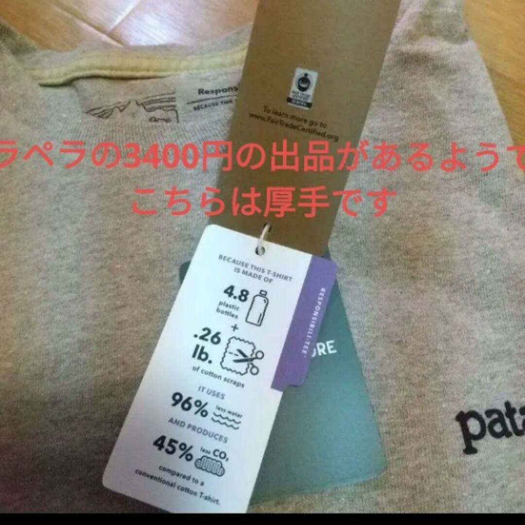 patagonia(パタゴニア)のfitz roy responsibili tee メンズのトップス(Tシャツ/カットソー(半袖/袖なし))の商品写真