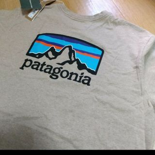 パタゴニア(patagonia)のfitz roy responsibili tee(Tシャツ/カットソー(半袖/袖なし))