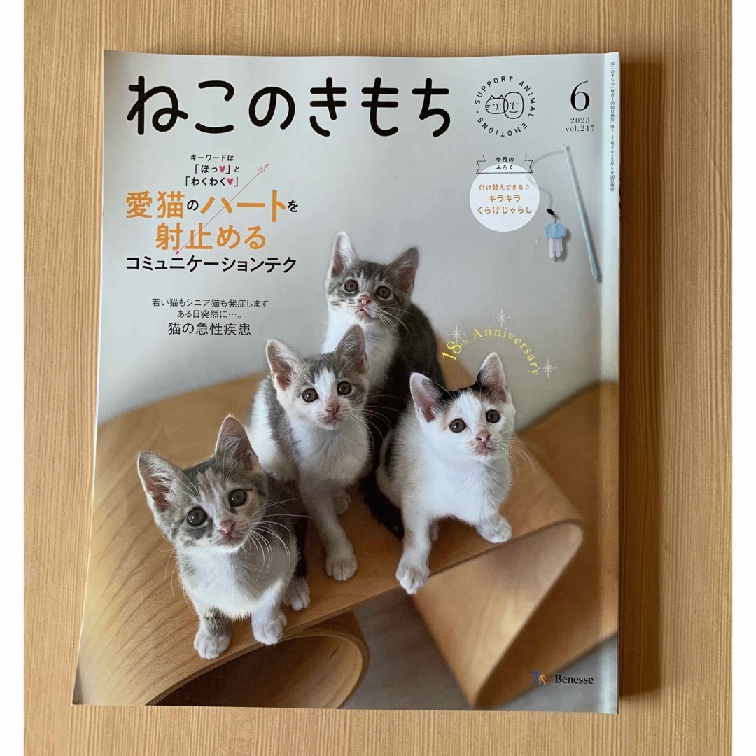 Benesse(ベネッセ)のねこのきもち　2023年6月号 vol.217 エンタメ/ホビーの雑誌(専門誌)の商品写真