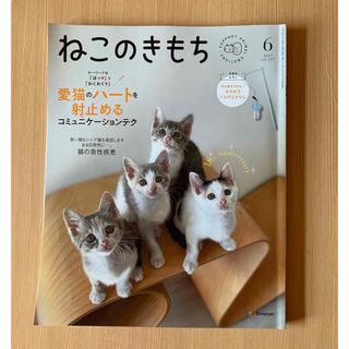 Benesse - ねこのきもち　2023年6月号 vol.217