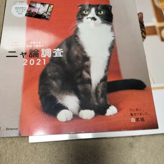 ベネッセ(Benesse)のねこのきもち(猫)