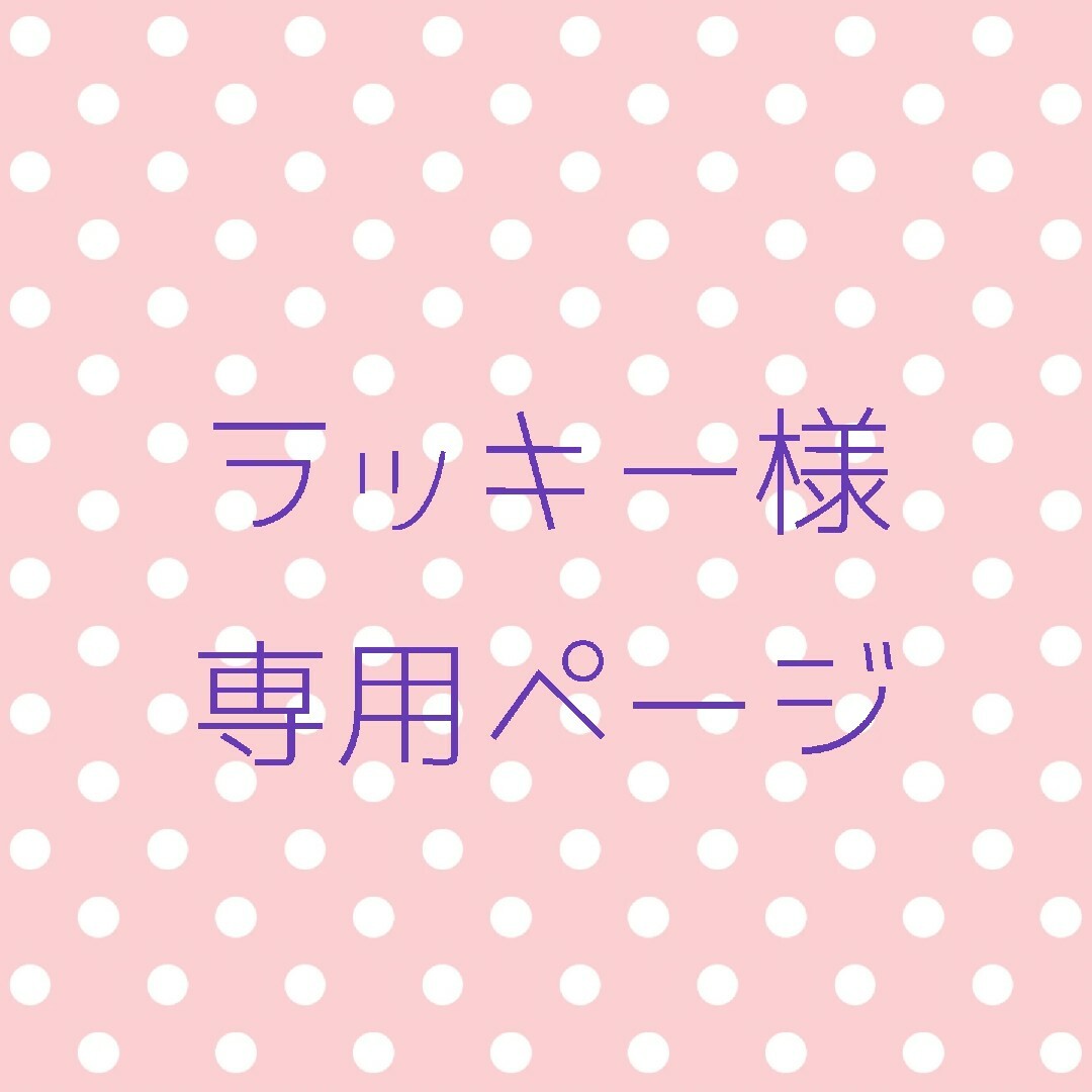 セグウェイ ラーキー様 専用 ページ レディース | bca.edu.gr