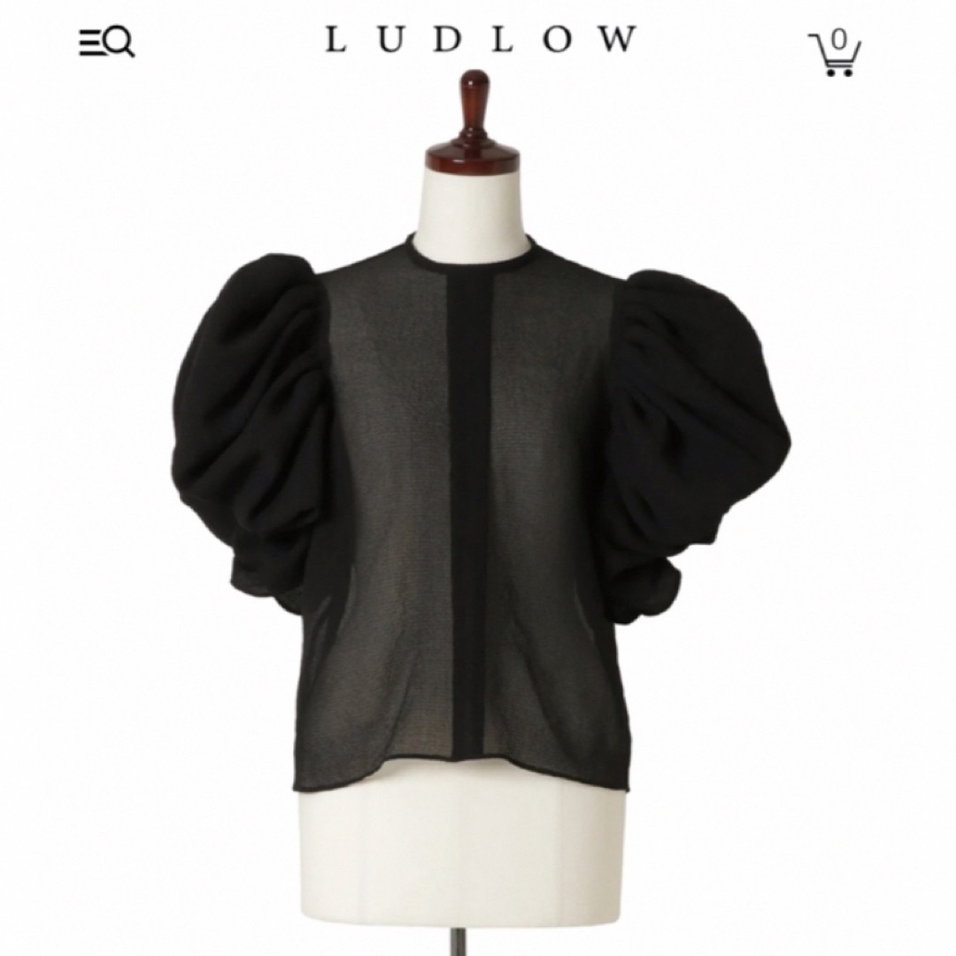 LUDLOW(ラドロー)の週末まで限定最終お値下げ▪️LUDLOWバタフライブラウス◼︎ レディースのトップス(シャツ/ブラウス(半袖/袖なし))の商品写真