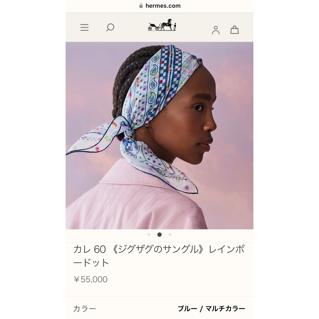 Hermes - エルメス シルクモスリン【未使用保管品】カレ60 全体に