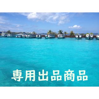 ETC様 専用の通販 by jabba01's shop|ラクマ