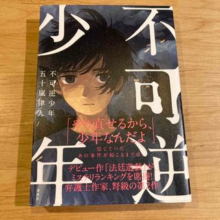 不可逆少年(文学/小説)