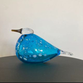 イッタラバード ブルーフィンチ blue finch ⑦ www.krzysztofbialy.com