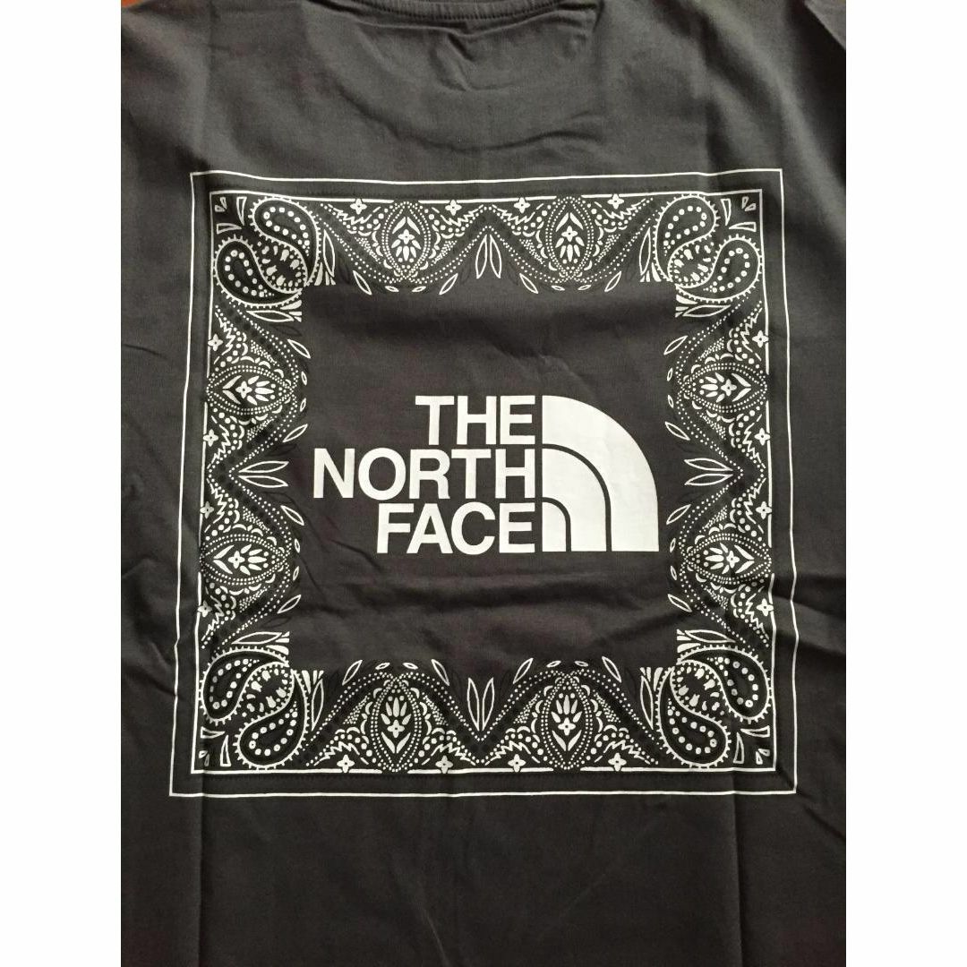 THE NORTH FACE(ザノースフェイス)の【韓国限定】ノースフェイス Tシャツ バンダナ柄 チャコールグレー メンズのトップス(Tシャツ/カットソー(半袖/袖なし))の商品写真