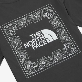 THE NORTH FACE - 【韓国限定】ノースフェイス Tシャツ バンダナ柄 ...