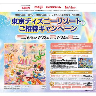 ディズニー(Disney)の懸賞 アピタ・ピアゴ 東京ディズニーリゾートご招待キャンペーン(その他)