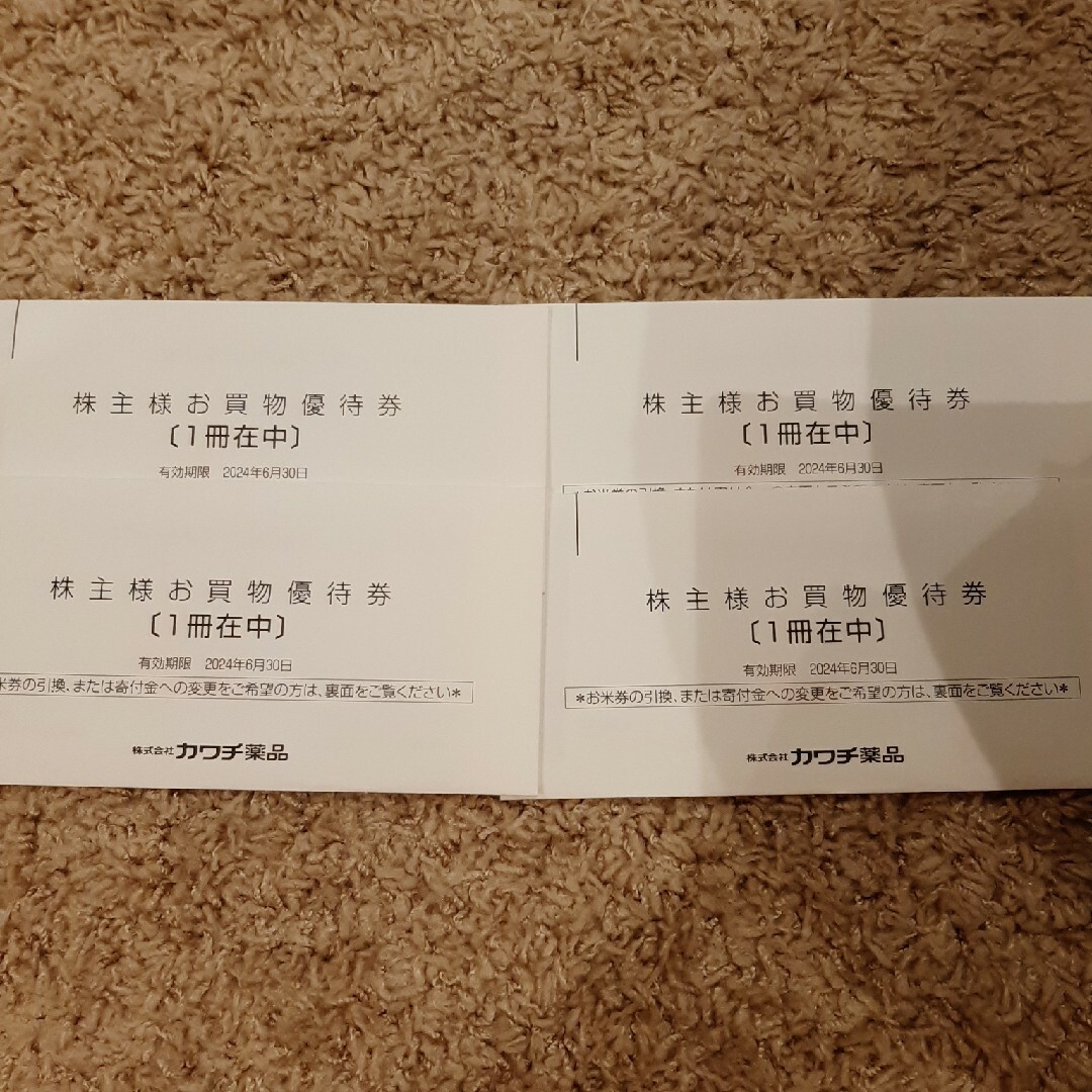 そごう・西武の売却検討 カワチ薬品 株主優待20000円分 エンタメ