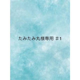 たみたみ丸様専用　♯1(その他)