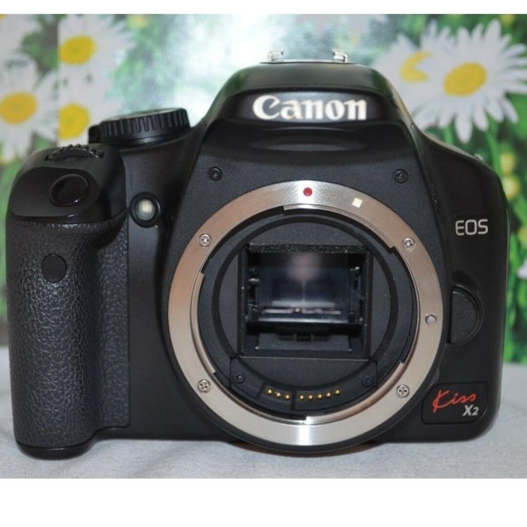 ★美品★Canon  Eos Kiss X2 ダブルズームセット