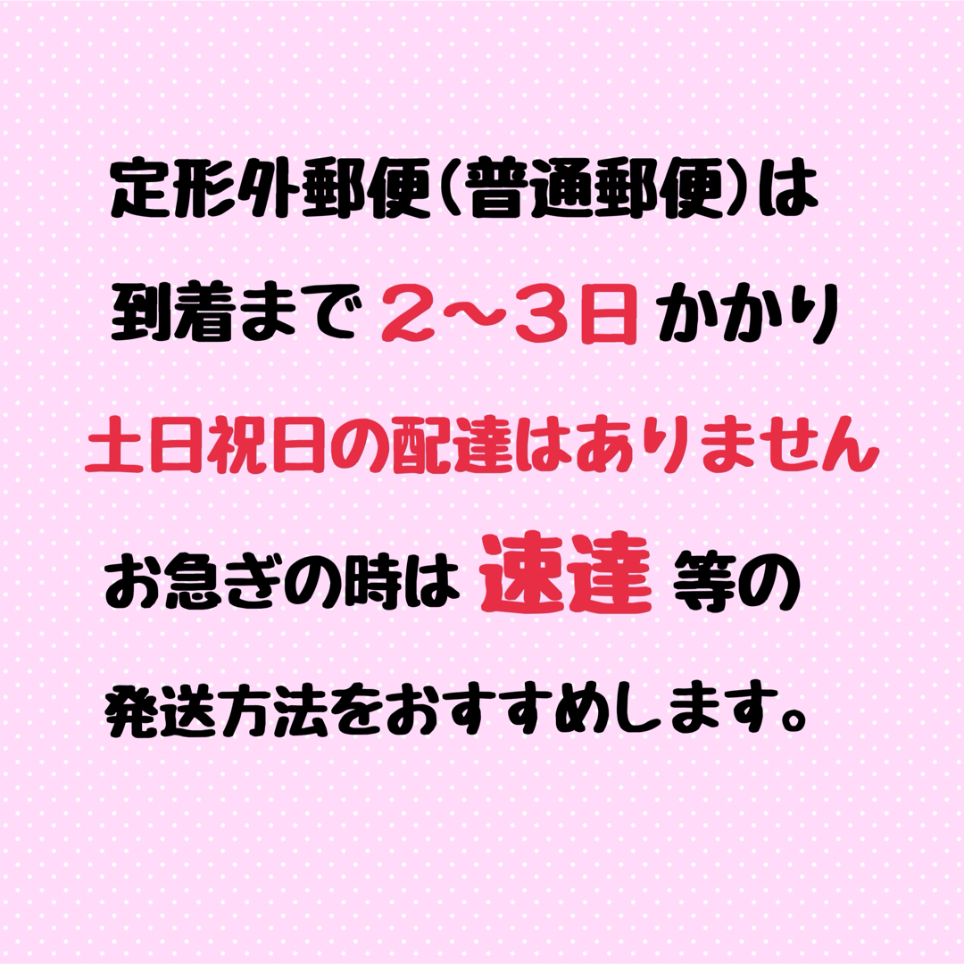 国産 ジャンボうちわ 黒 (艶なし) 無地 2本セット エンタメ/ホビーのタレントグッズ(その他)の商品写真