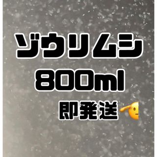 【ゾウリムシ大容量】800ml送料無料めだか金魚etc.(アクアリウム)