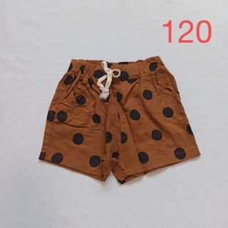 120cm キッズ　ドット柄　ショートパンツ　ブラウン【356】(パンツ/スパッツ)