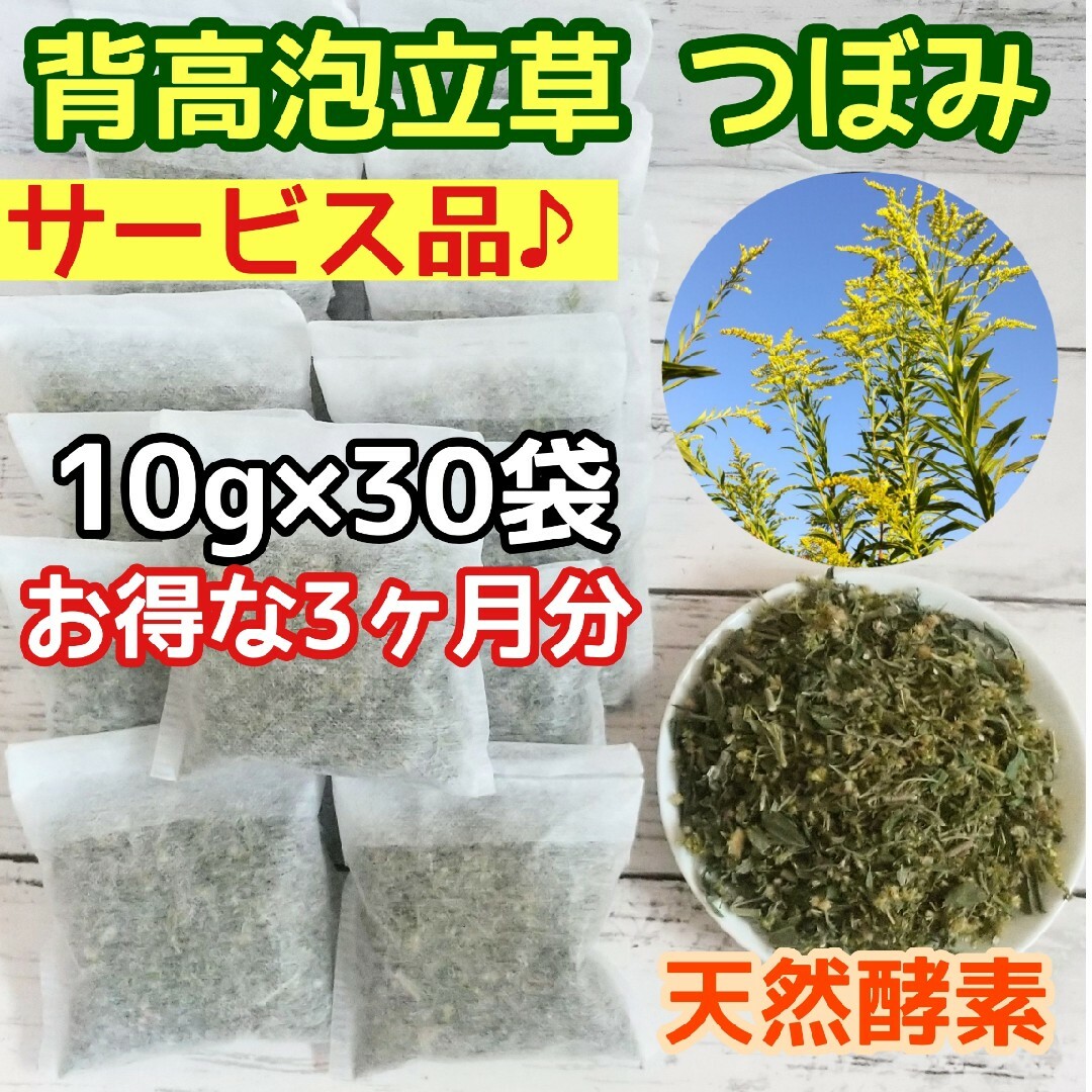 サービス品♥️ 乾燥セイタカアワダチソウ 10g×30個  ○増量OK 自然療法 ハンドメイドのフラワー/ガーデン(ドライフラワー)の商品写真