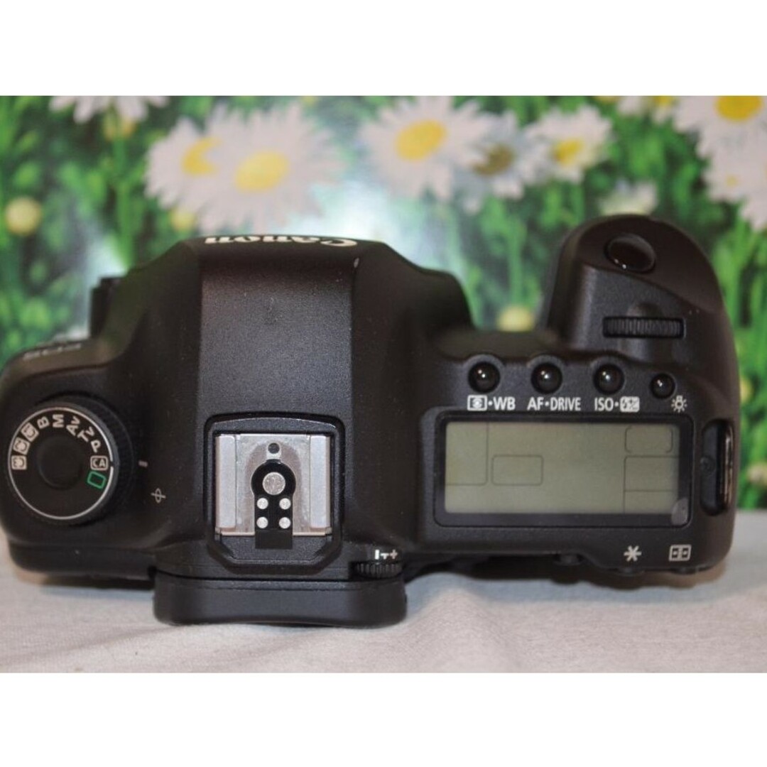 Canon キャノン EOS 5D MarkII❤トリプルレンズ❤フルサイズ❤ - 通販