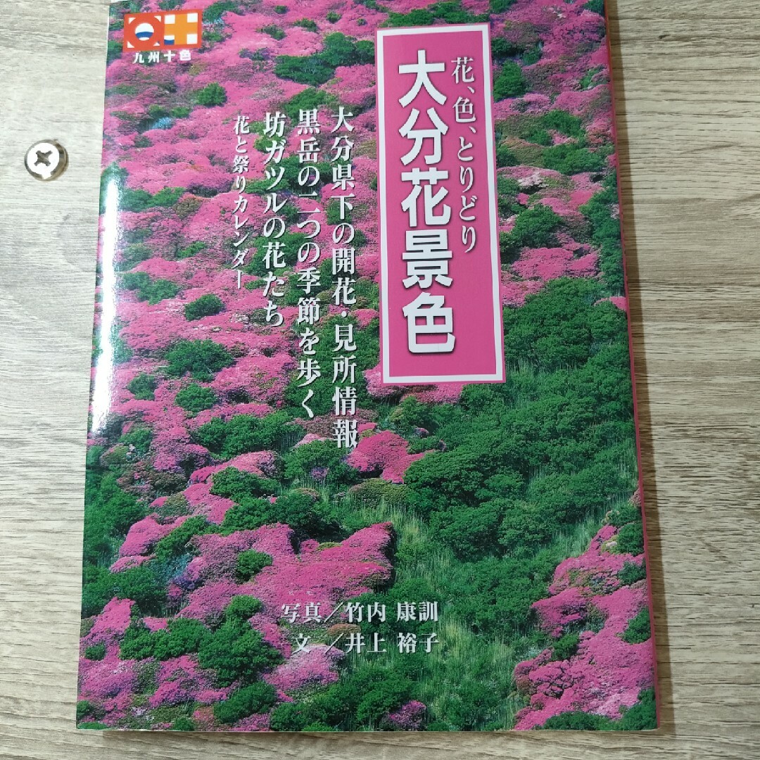 花、色、とりどり、大分花景色 エンタメ/ホビーの本(その他)の商品写真