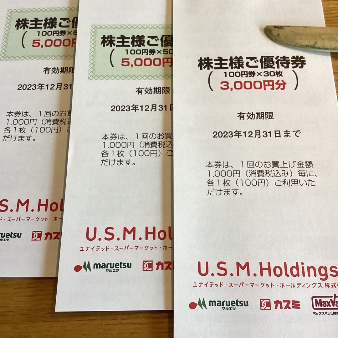 USMH株主優待券13000円