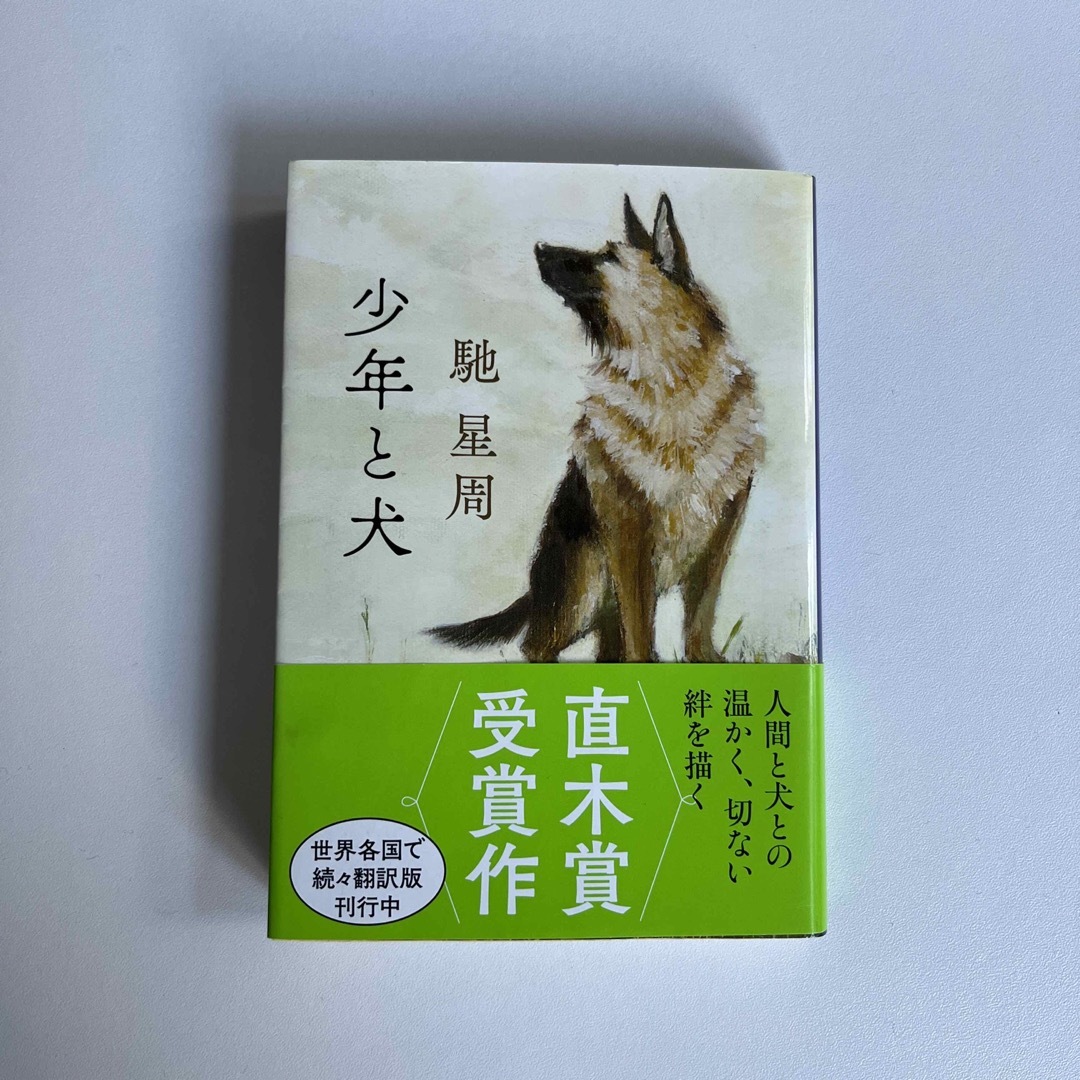 少年と犬 エンタメ/ホビーの本(文学/小説)の商品写真