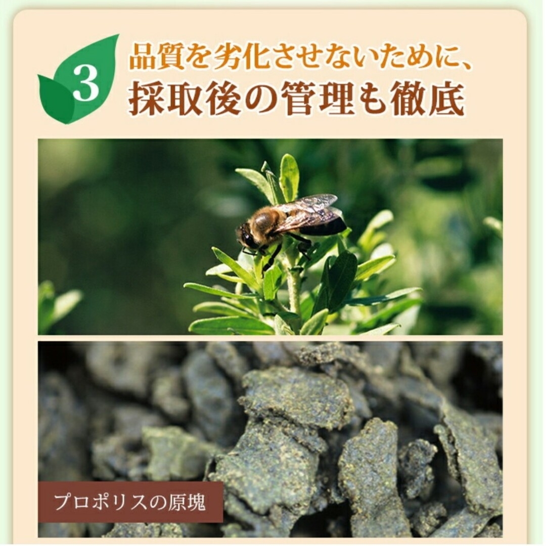【100球×5袋】山田養蜂場 プロポリス300