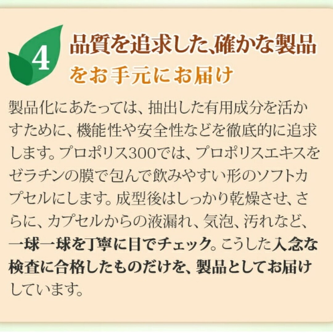 【100球×5袋】山田養蜂場 プロポリス300