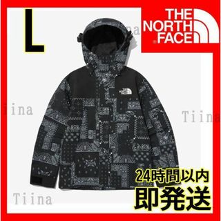 ノースフェイス(THE NORTH FACE) 韓国 マウンテンパーカー(メンズ)の